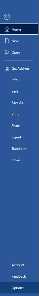 MS Word Option